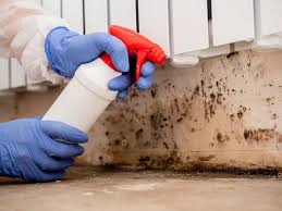 Best Mold Removal for HVAC Installations  in Holly Springs, GA